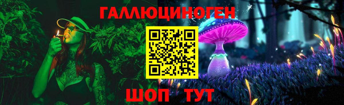 Галлюциногенные грибы Magic Shrooms  где купить наркоту  Галлюциногенные грибы мицелий  Кудымкар  Вход с VPN 